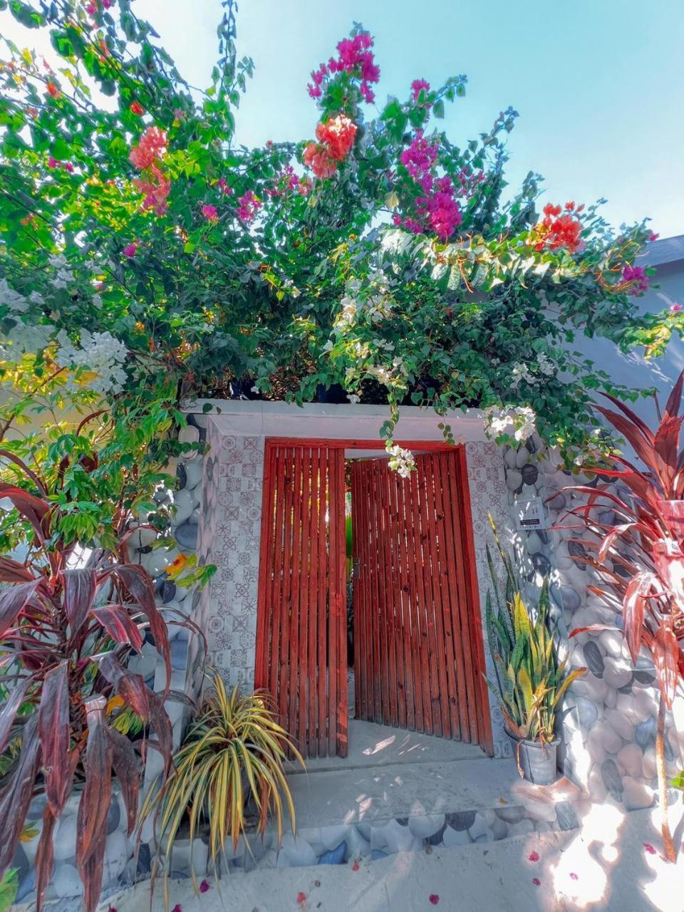 Thoddoo Haisha Inn, Maldives Ngoại thất bức ảnh
