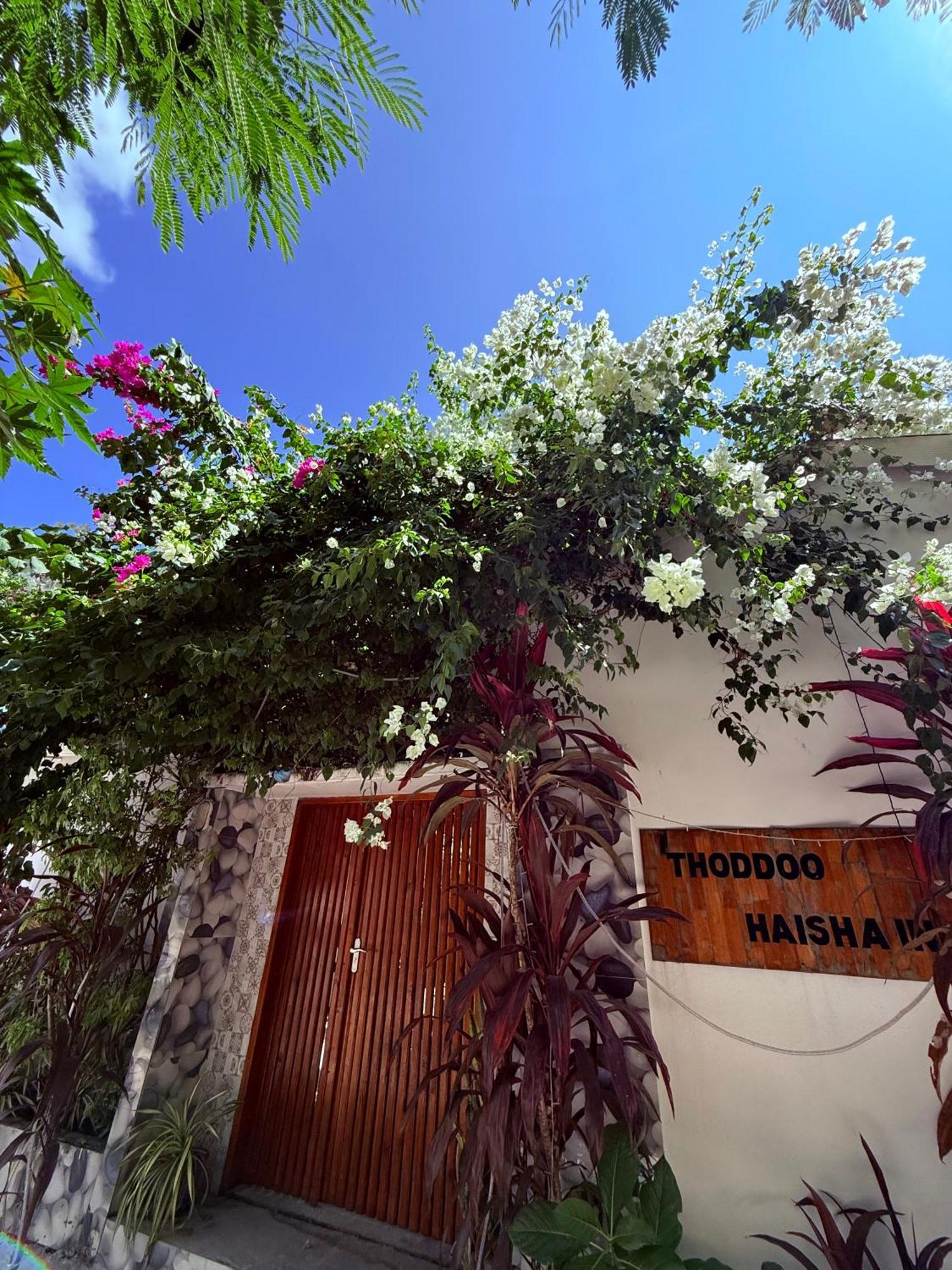 Thoddoo Haisha Inn, Maldives Ngoại thất bức ảnh